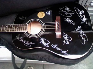 NASCARb drivers autograph guitar for breast cancer benefit.
